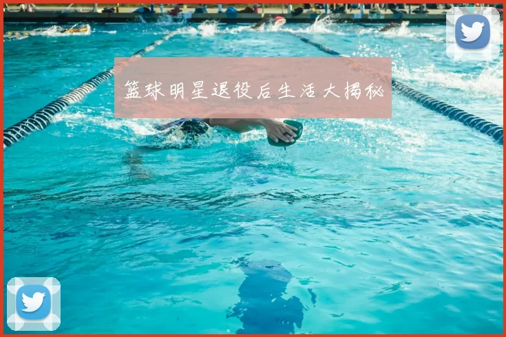 篮球明星退役后生活大揭秘